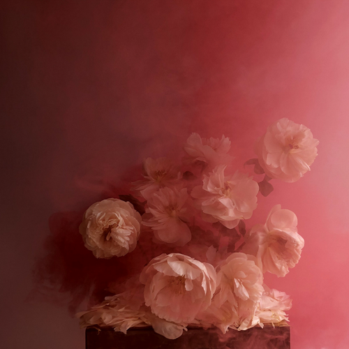 Ashley Woodson Bailey Aries Artwork