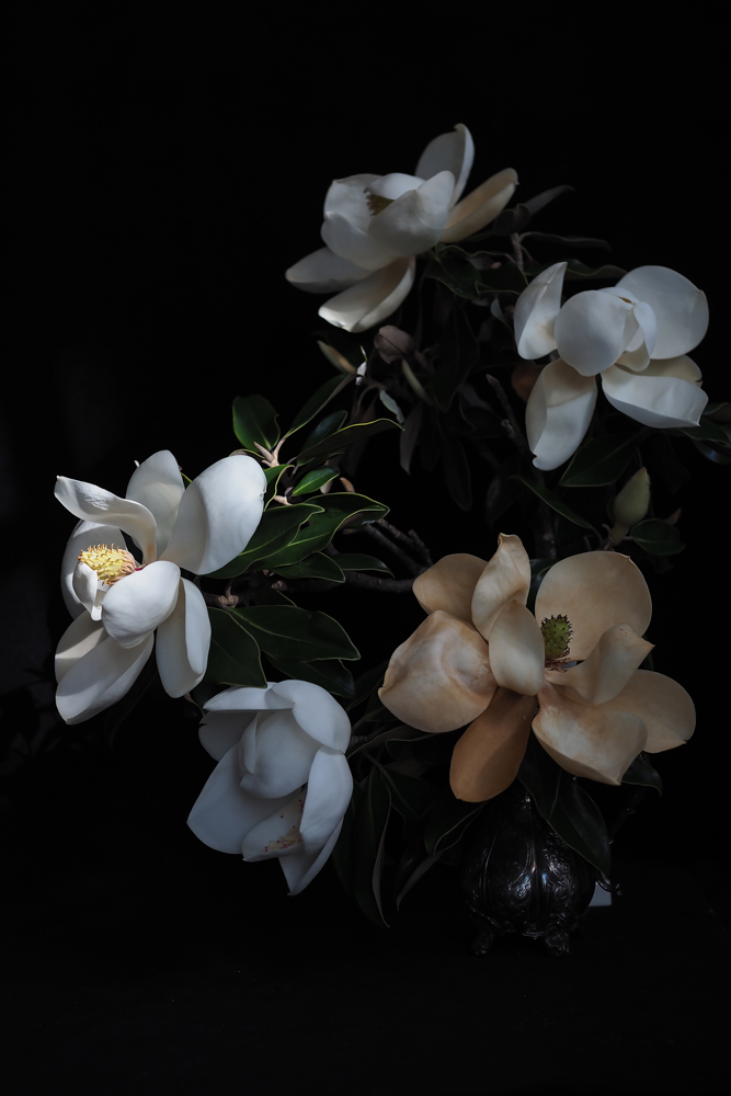 Blanche