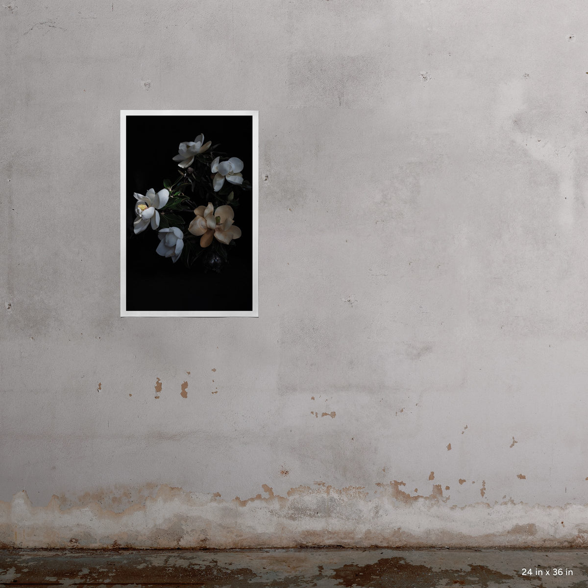 Blanche