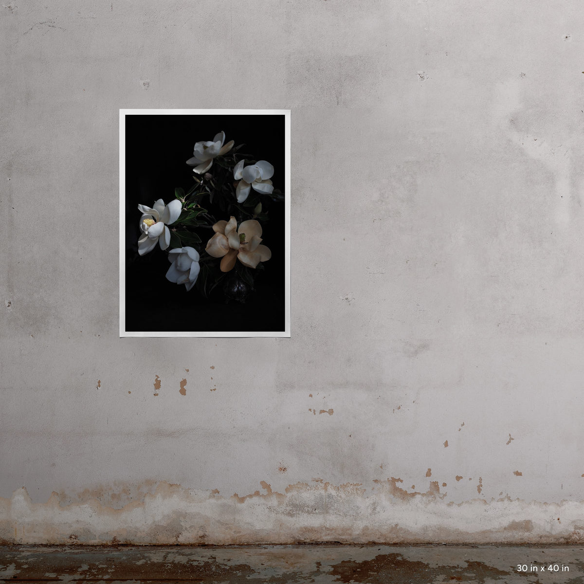 Blanche