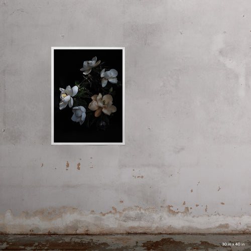 Blanche