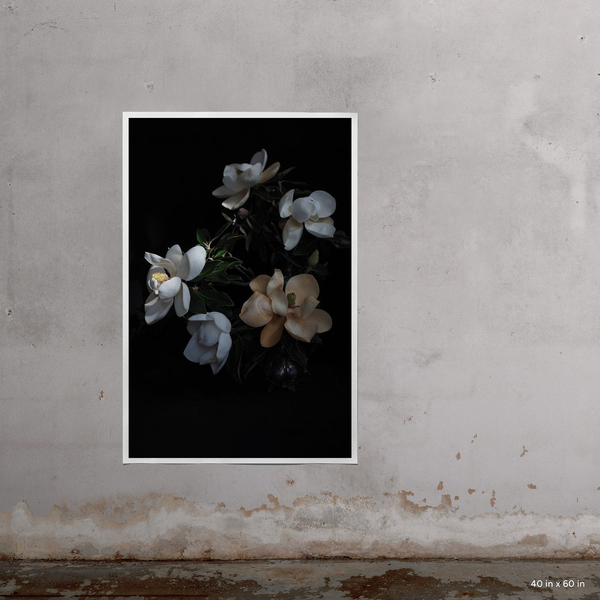 Blanche