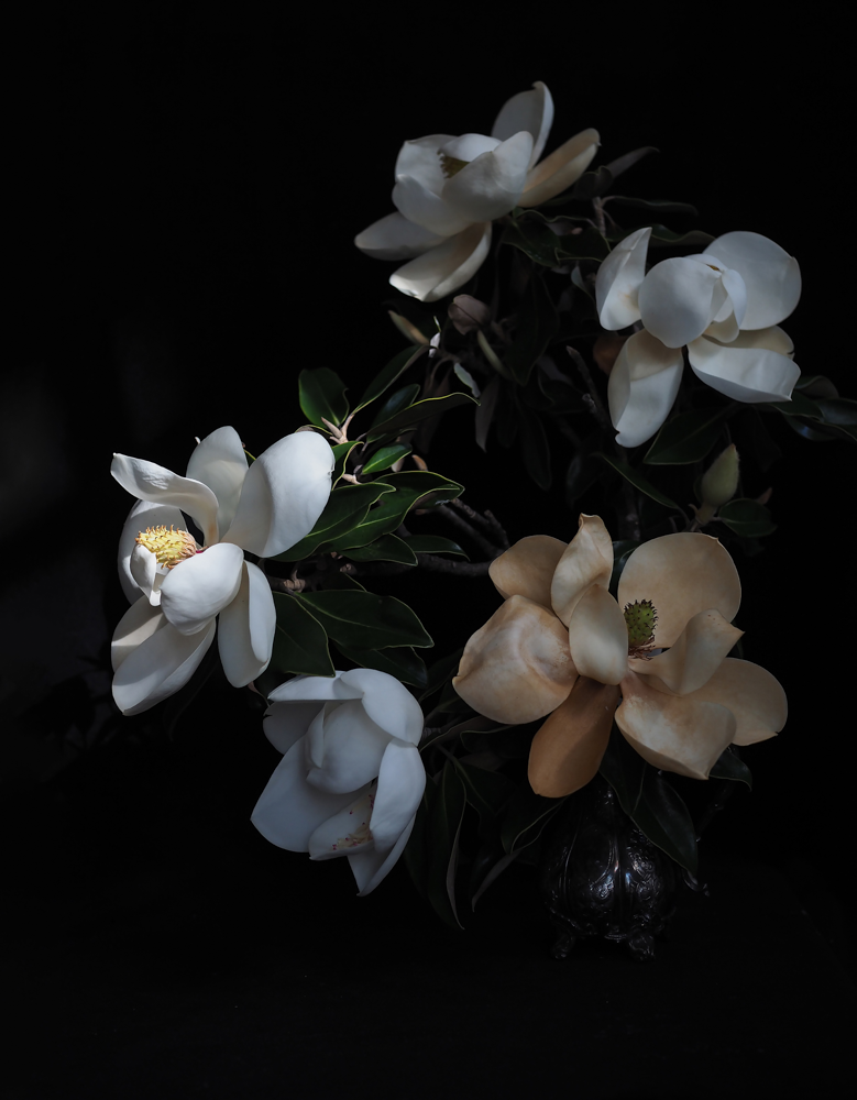 Blanche