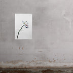 Blue Poppy 7
