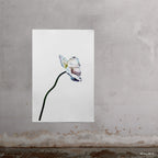 Blue Poppy 7