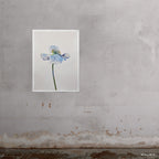 Blue Poppy 9