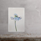 Blue Poppy 9