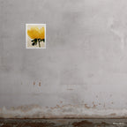 16x20" Charlotte art print by Ashley Woodson Bailey, a single yellow rose glowing with the quiet confidence of something needing no backdrop.