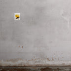 8x10" Charlotte art print by Ashley Woodson Bailey, a single yellow rose glowing with the quiet confidence of something needing no backdrop.