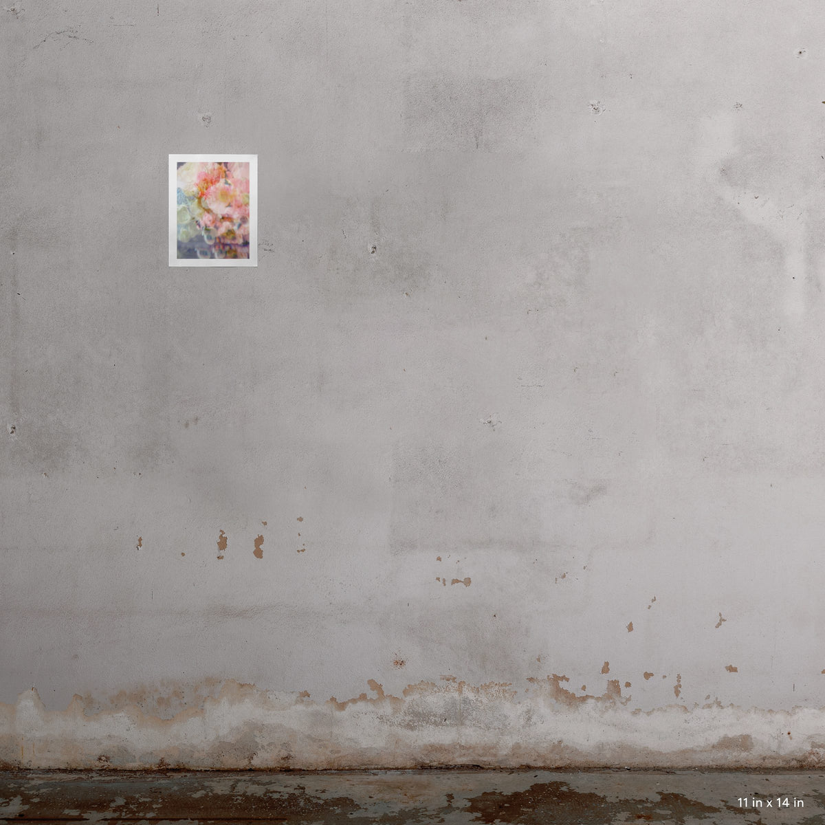 Coquette