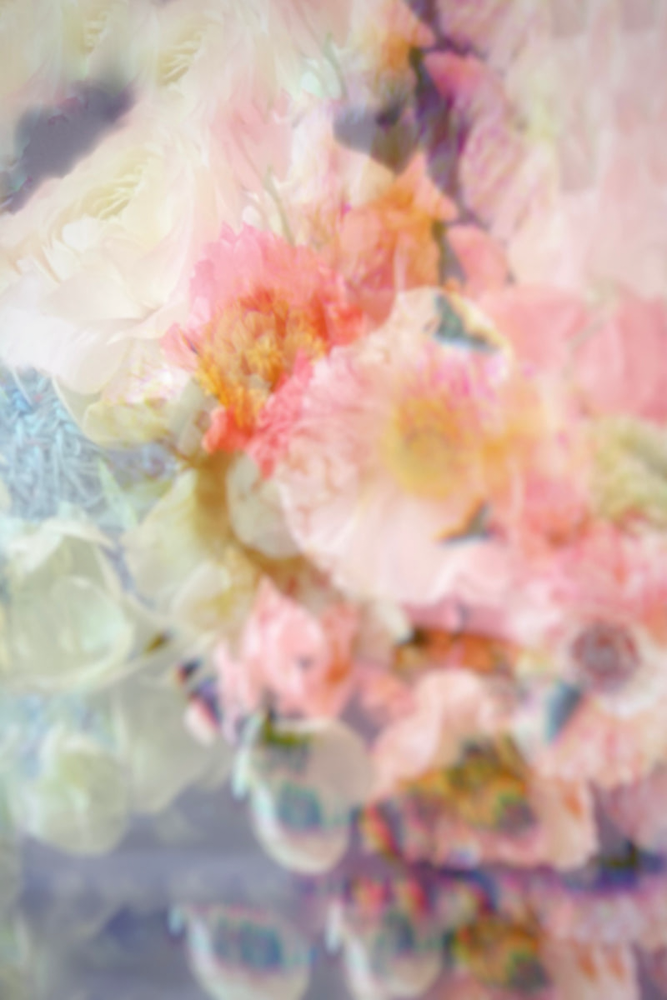 Ashley Woodson Bailey Coquette Artwork