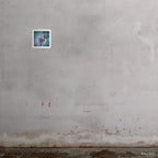 12x12" Daisy Gamble art print by Ashley Woodson Bailey, made during 2020 lockdown, color blurred soft like blooms seen underwater.