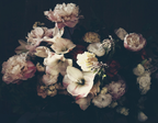 Dutch Love art print by Ashley Woodson Bailey, the original best-selling print, blooms rendered in the deep shadow of the Dutch masters.