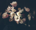 Ashley Woodson Bailey Dutch Love Artwork