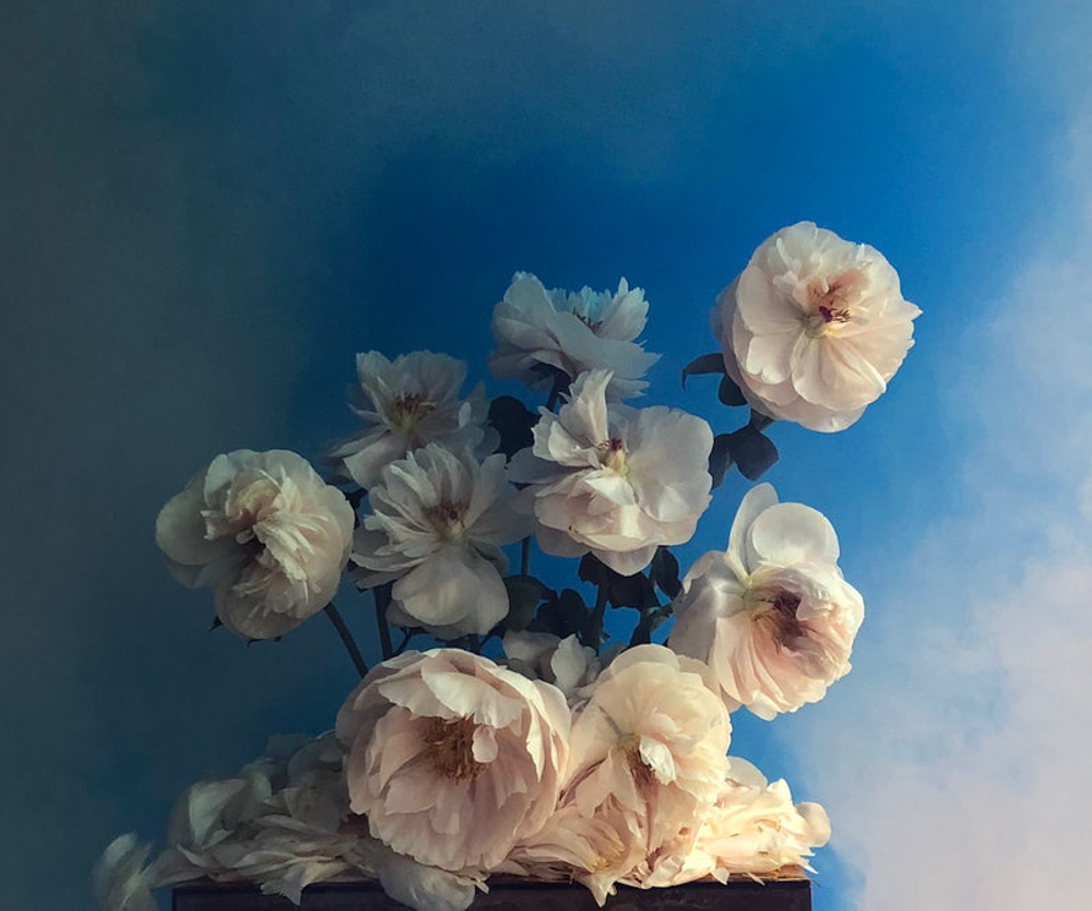 Ashley Woodson Bailey Harlots Artwork