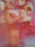 Ashley Woodson Bailey Mabel Artwork