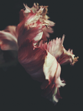 Ashley Woodson Bailey Moving Day Artwork