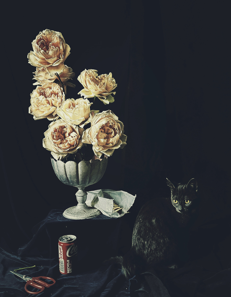 Petunia