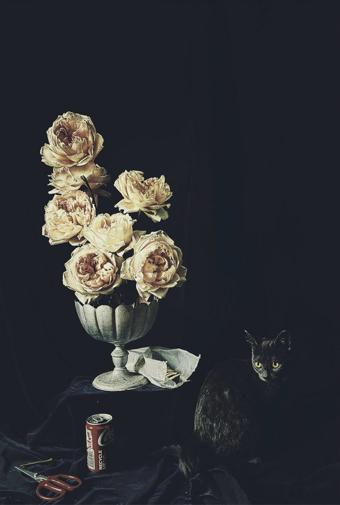 Ashley Woodson Bailey Petunia Artwork