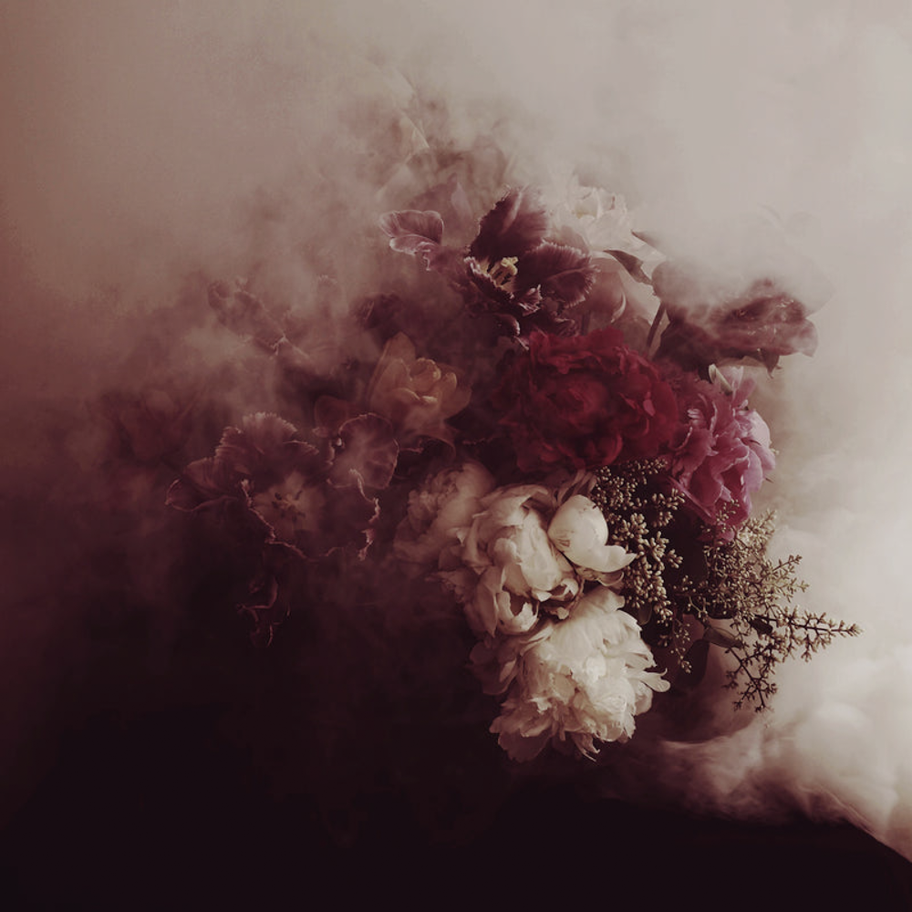 Ashley Woodson Bailey Revolution Artwork