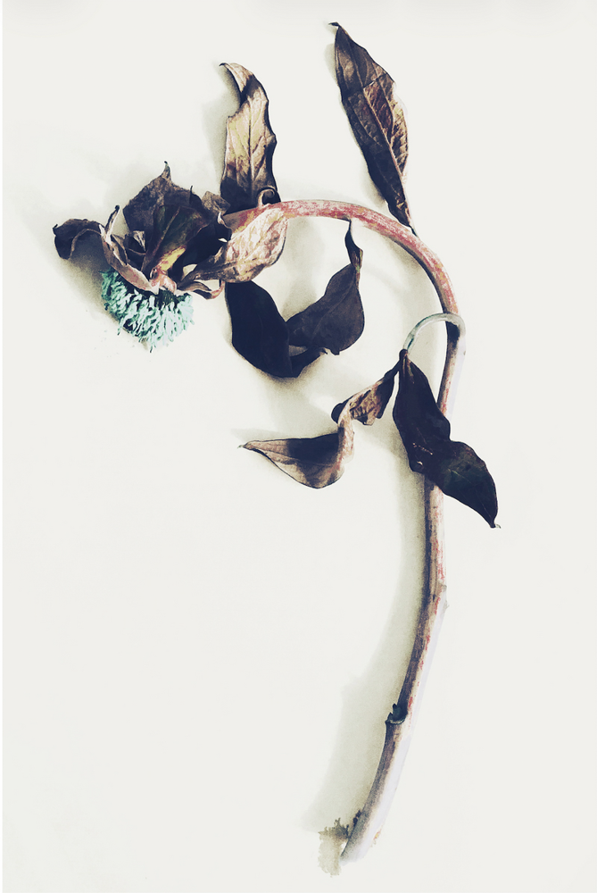 Ashley Woodson Bailey Richmond Artwork