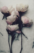 Ashley Woodson Bailey Snowday Artwork