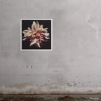 32x32" Syd art print by Ashley Woodson Bailey, a Cafe Ole dahlia made for the people of Australia, lovely, generous, and warmly welcoming.
