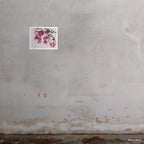 Tulip Magnolia