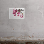 Tulip Magnolia