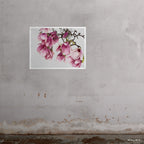 Tulip Magnolia