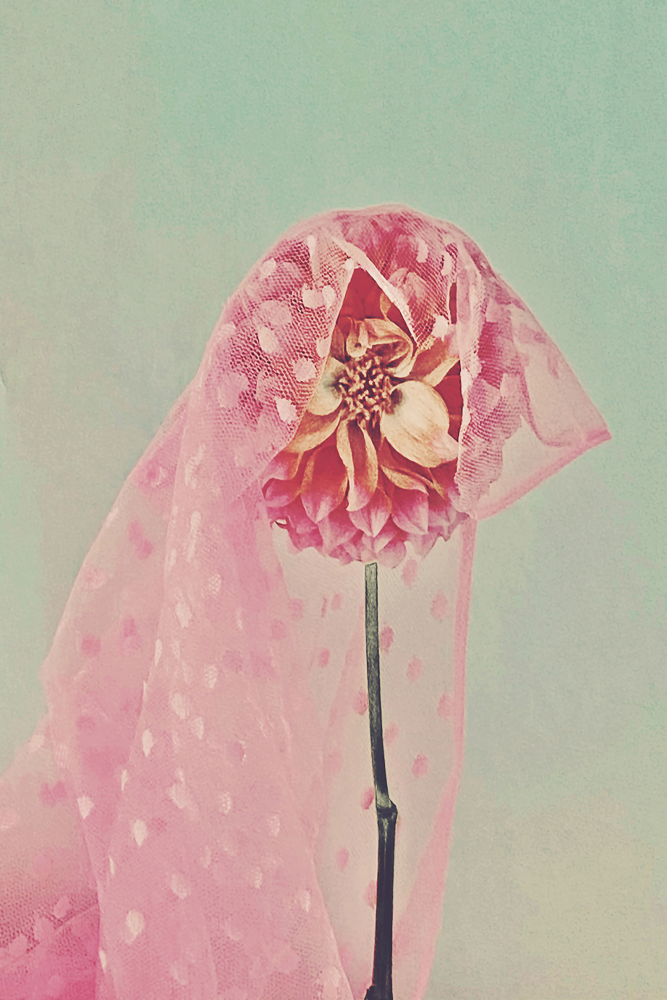 Veiled