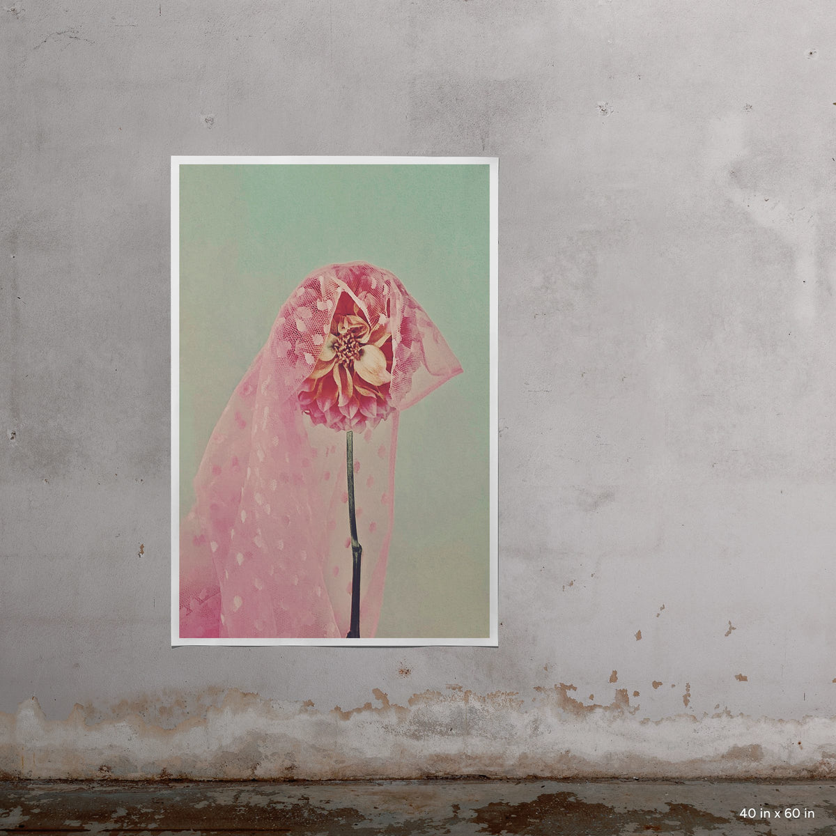 Veiled