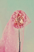 Ashley Woodson Bailey Veiled Artwork