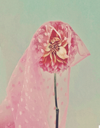 Veiled