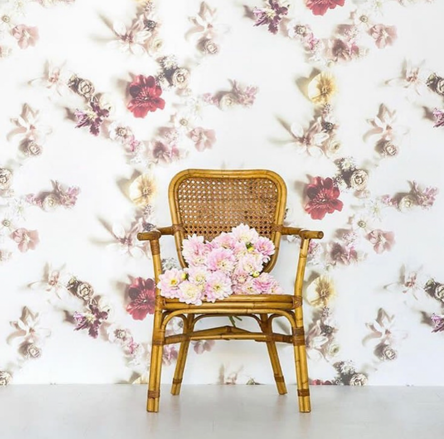 AWB Vines Wallpaper Insitu Living Room