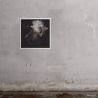 32x32" Wonder art print by Ashley Woodson Bailey, a bearded iris with an Edwardian feel fit for the cover of The Age of Innocence.