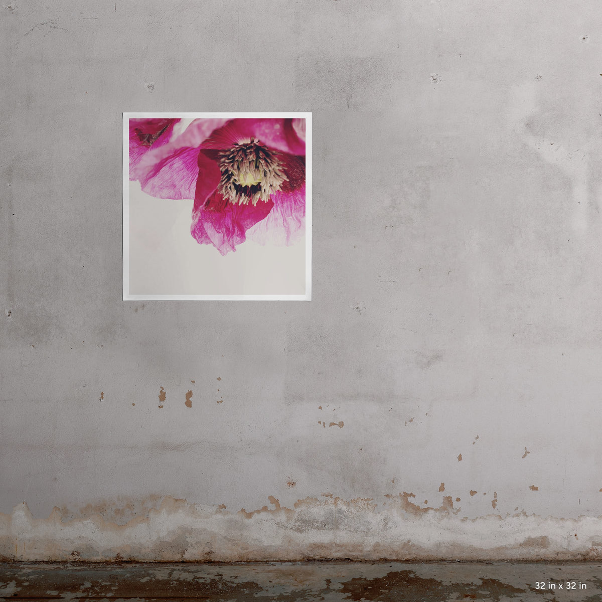 32x32" Yes, Please art print by Ashley Woodson Bailey, Japanese poppies found in Austin, the flower she wants covering her grave someday.