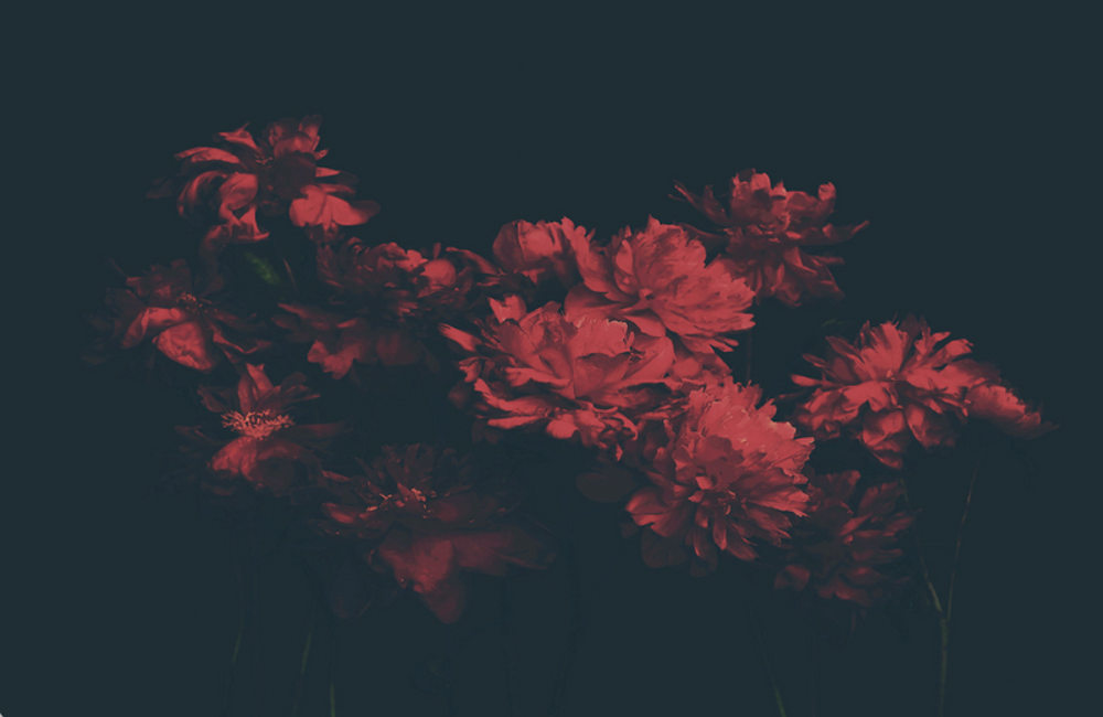 Ashley Woodson Bailey Fire Artwork