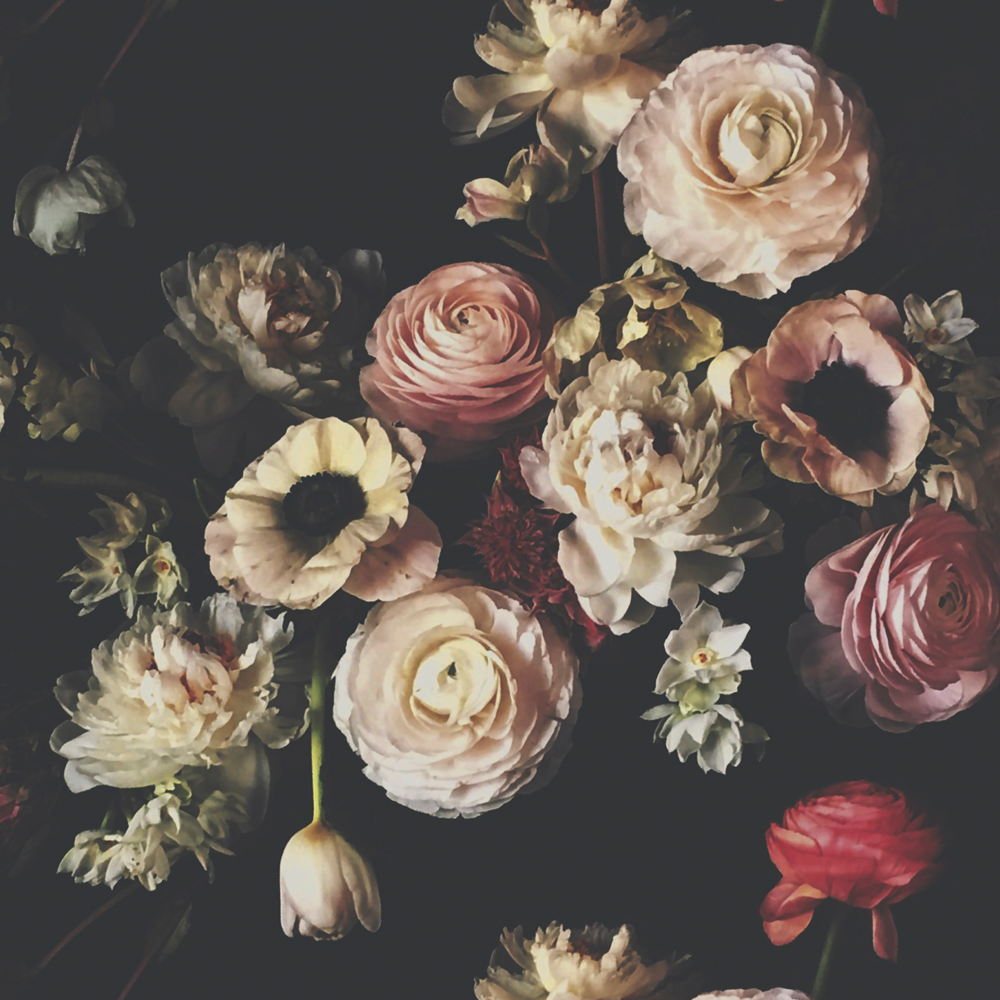Into the Garden