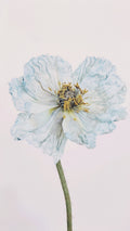 AWB Blue Poppy 1