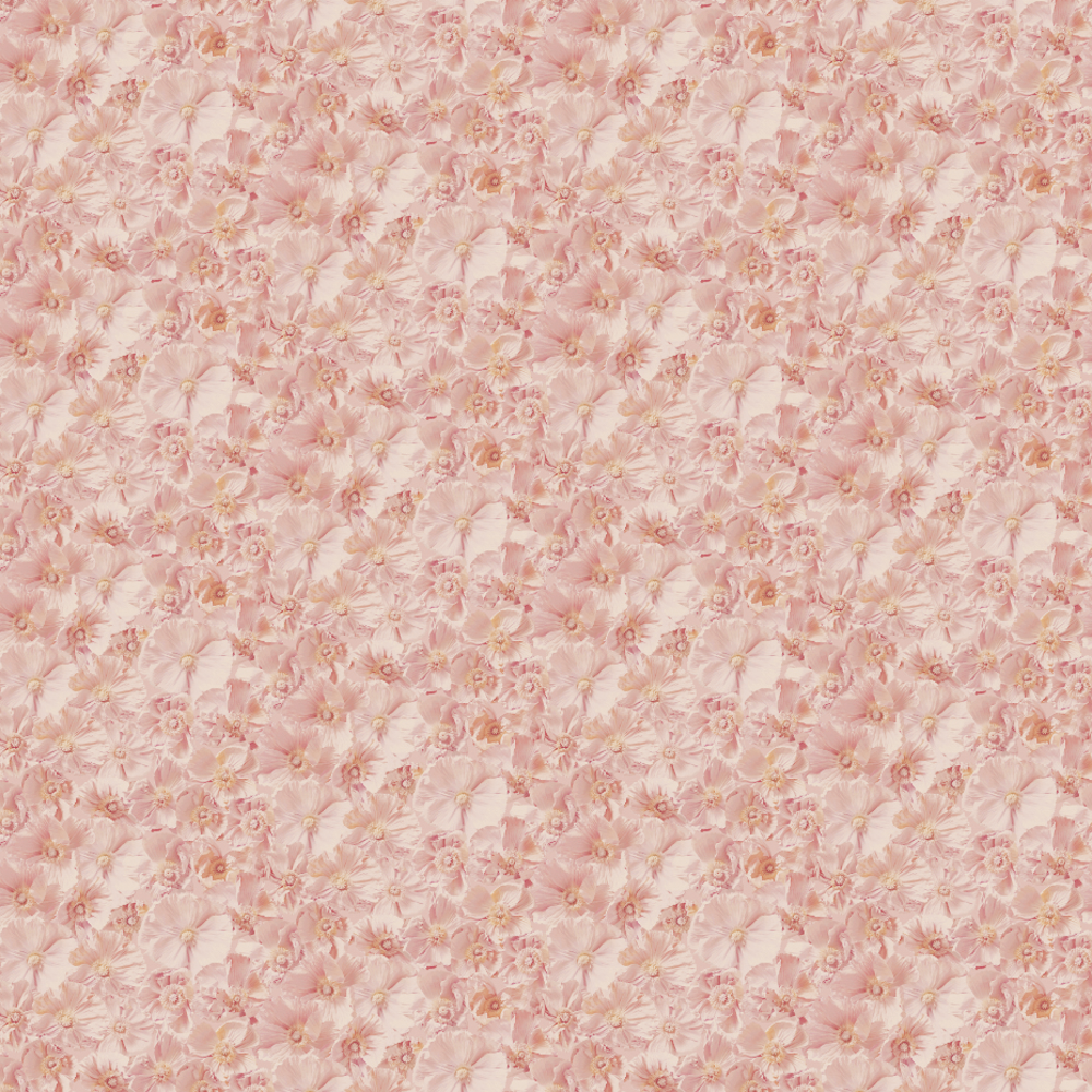 Pink Poppies